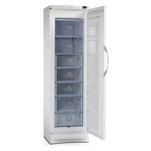 Шкаф морозильный TEFCOLD BTFF370